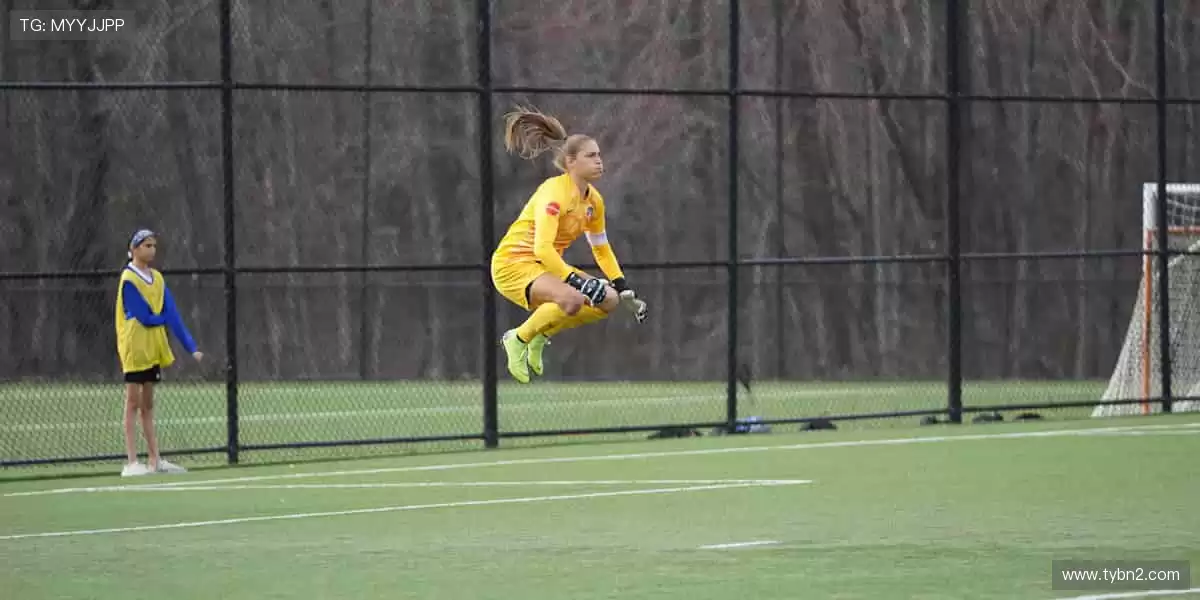 高清直播，实时互动，身临其境！🎯